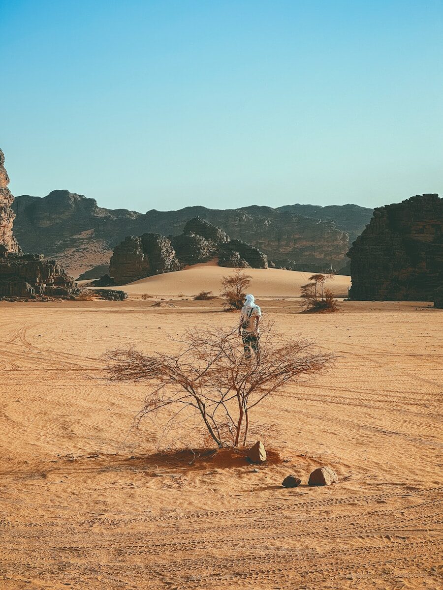 Brochure Discover Algeria DS Tours